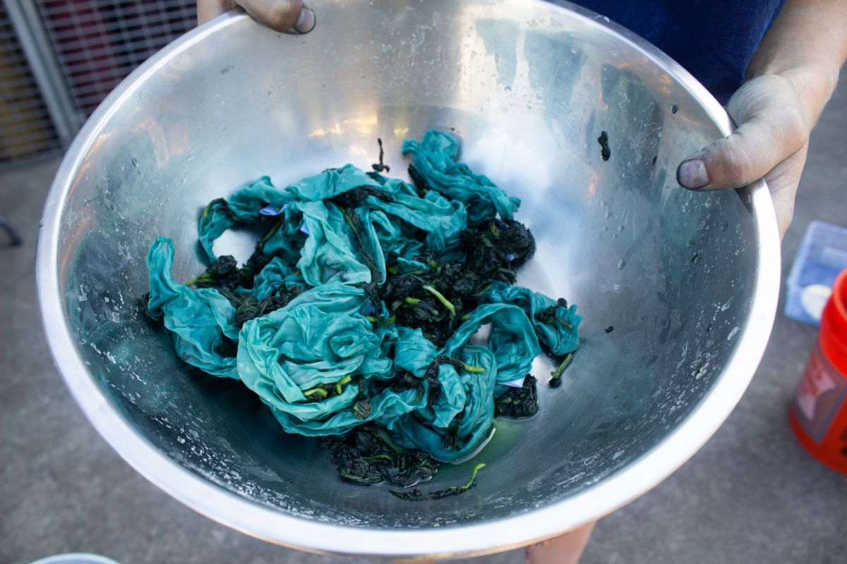 oem indigo blue natural dye
